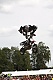 Radek Bilek RESPEKT Kladruby 31 07 2009