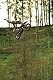 Radek Bilek The Park 04 11 2012